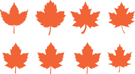 Obraz premium Maple leaf set vector icon. Maple leaf vector illustration.