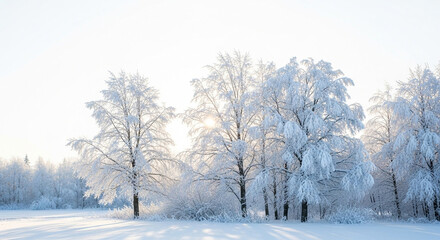 winter landscape with trees and snow