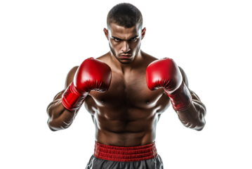 Muscular male boxer intense expression red gloves transparent background