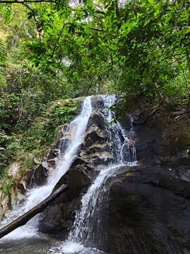 Scenic Waterfall Flowing Through a Tropical Forest 