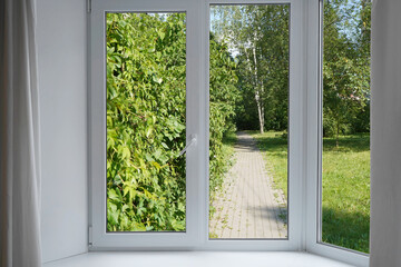 View from the window of lush green foliage in the garden park.