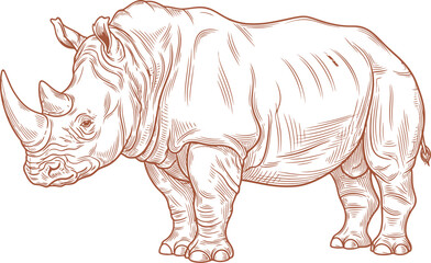 Fototapeta premium Rhinoceros sketch drawing african wildlife animal illustration