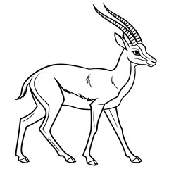 Fototapeta premium Vector illustration of gazelle isolated on background of coloring page black and white