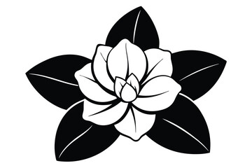 Stylized white camellia bloom with solid black leaves evokes botanical elegance on white