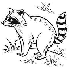 Obraz premium Vector illustration of raccoon of coloring page black and white