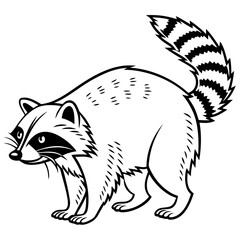 Vector illustration of raccoon  of coloring page black and white