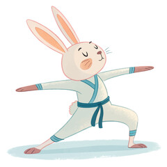 Rabbit in Warrior II Pose, Arms Extended, Determined Expression, Soft Pastel Style, White Background, No Shadow