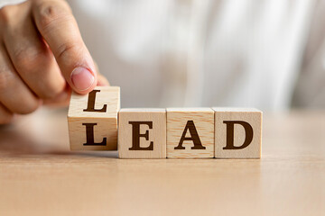 Building the word lead with wooden letter blocks