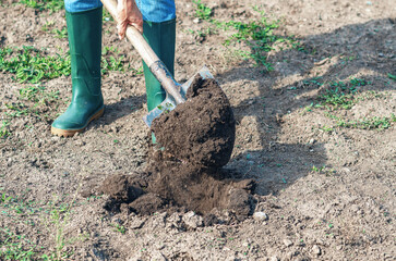 Farmer woman in jeans and rubber boots digs hole for planting flowers or plants. Garden work concept