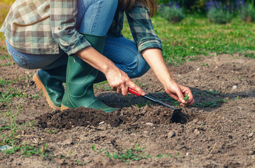 Farmer woman in jeans and rubber boots loosens soil with rake, pulls out weeds. Agricultural concept