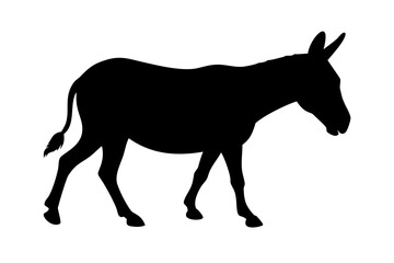 Silhouette of a robust donkey with a short tail stands facing right on white