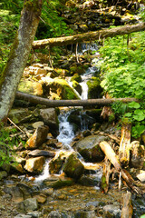 Obraz premium waterfall in the forest