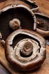 Tasty vegetarian food, large brown champignons Agaricus bisporus portobello mushrooms close up