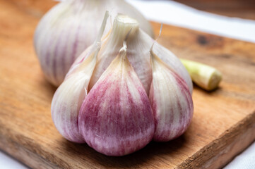 Fresh young heads of purple or violet French garlic close up