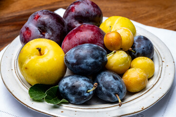 Sweet ripe red, purple, yellow mirabelle plums, healthy organic fruits close up