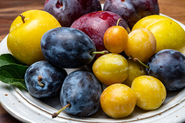 Sweet ripe red, purple, yellow mirabelle plums, healthy organic fruits close up