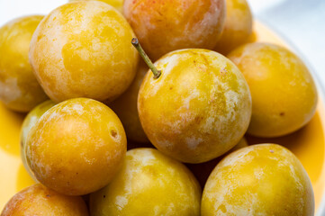 Sweet ripe small yellow mirabelle plums, healthy organic fruits close up