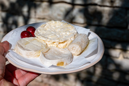 Variety of French soft cheeses, saint-marcellin, rocamadour, bouchon de chevre goat cheese, palet des causses from sheep's milk