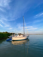 A white sailboat gently floats on calm water near the shore, surrounded by green reeds under a clear blue sky at sunset, reflecting beautifully on the lake's surface. Peaceful summer scene.