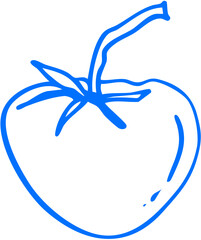 A round tomato with a short stem and slight ridges, garden produce sketch