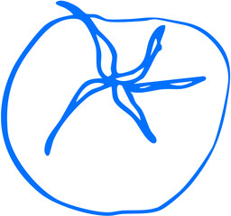 A round tomato viewed from above with visible stem and segments, fresh produce motif