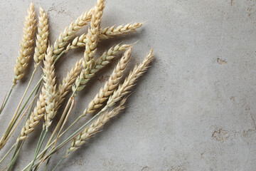 Many wheat spikes on light grey table, flat lay. Space for text