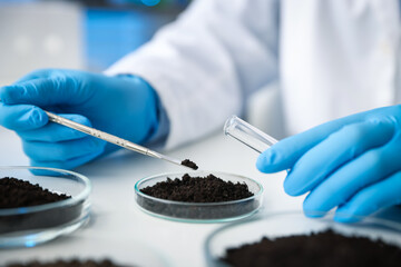 Scientist taking soil sample for research at white table in laboratory, closeup