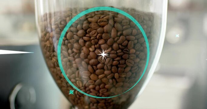 sparkle appearing initiating scan, glass hopper full beans being scanned by teal reticle for test