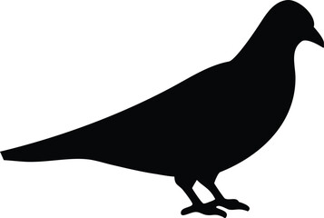 Minimalist Black Pigeon Silhouette on White Background Simplicity Design