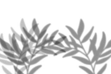 Abstract Black Background:  Dark, Moody, and Textured Design Element.