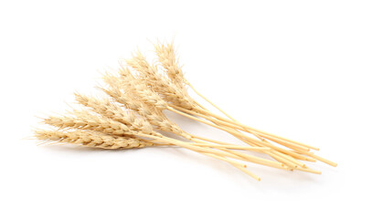 Dried spikes of wheat isolated on white