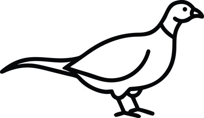Pheasant Outline Isolated Against White Background Stock