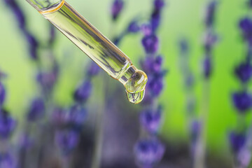 Dripping lavender essential oil from pipette against blurred background, closeup