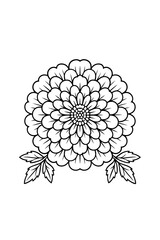 Botanical Mandala coloring page for adults 