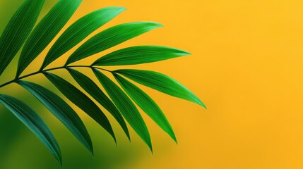 A leafy green plant with a yellow background