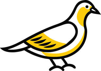 vector illustration of a pigeon