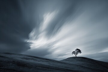 Solitary tree atop hill, dramatic sky