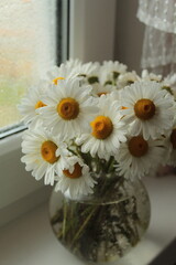 bouquet of daisies