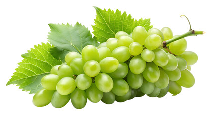 Obraz premium Photo of a fresh bunch of green grapes with leaves, isolated on transparent background