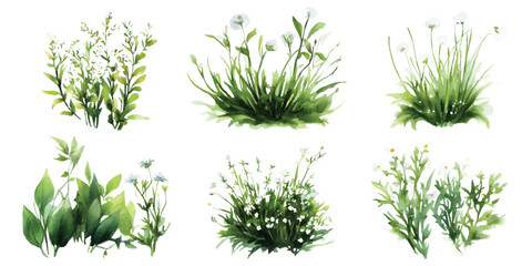 Set watercolor of green dense bushes lush shrubs grass gardening isolated on transparent background