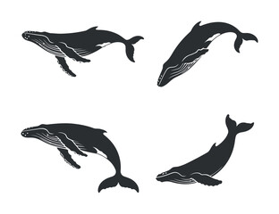 Humpback Whale Silhouette Collection on Transparent Background for Marine Biology and Ocean Conservation Projects