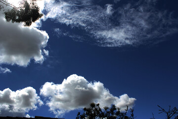 Cumulus Clouds on a blue sky