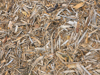 A dense layer of wood chips covers the ground, creating a natural and rustic appearance 