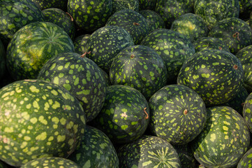 A large group of fresh green watermelons with spotted rinds, stacked closely together. Perfect for...