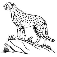 Vector illustration of  cheetah isolated on coloring page black and white