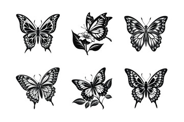 Group of butterflies silhouette