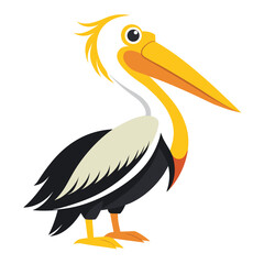 Pelican Vector Large Beak In Yellow And White Anatomy