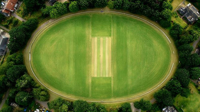 Aerial view of a green oval cricket ground with striped pitch and surrounding trees image