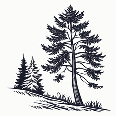 Obraz premium set of vector trees