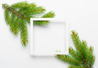 Festive green pine branches frame empty white square on white background